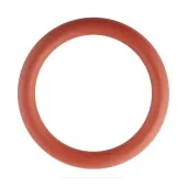 Уплотнительное кольцо из FPM 54 Rommer