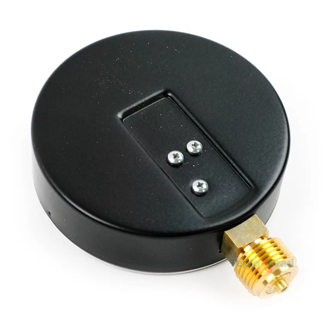 Манометр радиальный Watts F+R200 корпус 100 мм, 0-6 бар, подключение 1/2