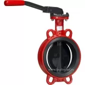 Затвор дисковый поворотный Гранвэл Ду 200, Ру16, чугун 3ПТС-FL(W)-3-200-MRR-HT