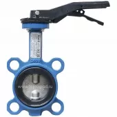 Затвор дисковый поворотный Tecofi Ду 300, Ру16, нержавеющая сталь