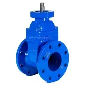 Задвижка чугунная Reon RSV02 DN65 PN16 под установку привода