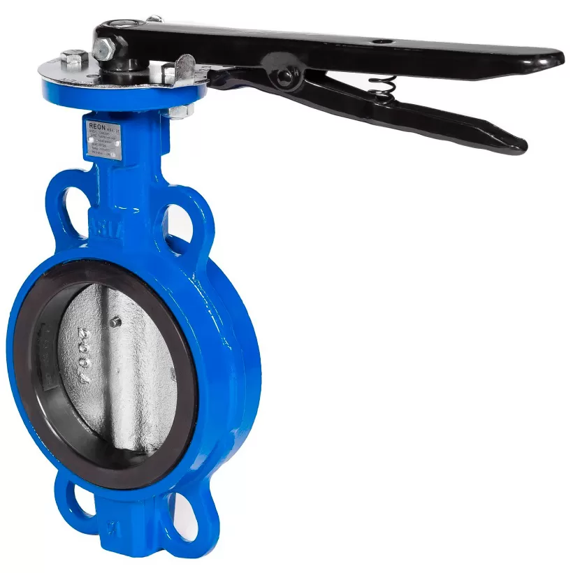 Дисковый поворотный затвор REON тип RSV38 Ду 50, Ру16, нержавеющая сталь