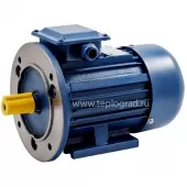Электродвигатель промышленный БЭЗ АИР 63A2 IM2081 (0.37 кВт, 3000 об/мин)
