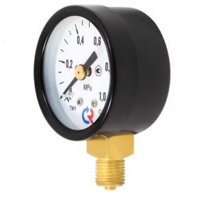 Манометр радиальный Росма ТМ-210Р.00  (0-0,6 МПа), 50 мм, 1/4