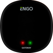 Универсальный интернет шлюз Zigbee для ENGO Smart