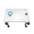 Электрический конвектор Thermex Frame 1000E Wi-Fi