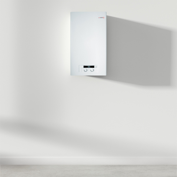 Настенный газовый котел Protherm Рысь 24