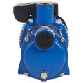 Поверхностный насос Aquario AMH-280-10P
