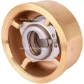 Клапан обратный осевой Tecofi CA 7441 DN80 PN16 межфланцевый