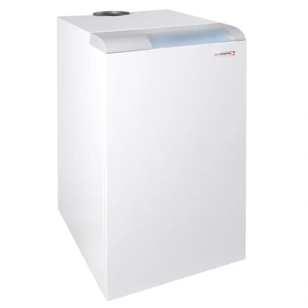 Атмосферный газовый электронезависимый котел Protherm Медведь 20 TLO