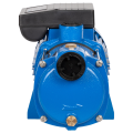 Поверхностный насос Aquario AMH-150-9P