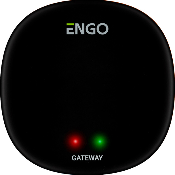 Универсальный интернет шлюз Zigbee для ENGO Smart