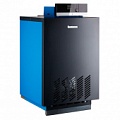 Газовые чугунные котлы Buderus Logano G124 WS (RU TOP)