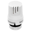 Термостатическая головка Royal Thermo BASIC М30х1,5