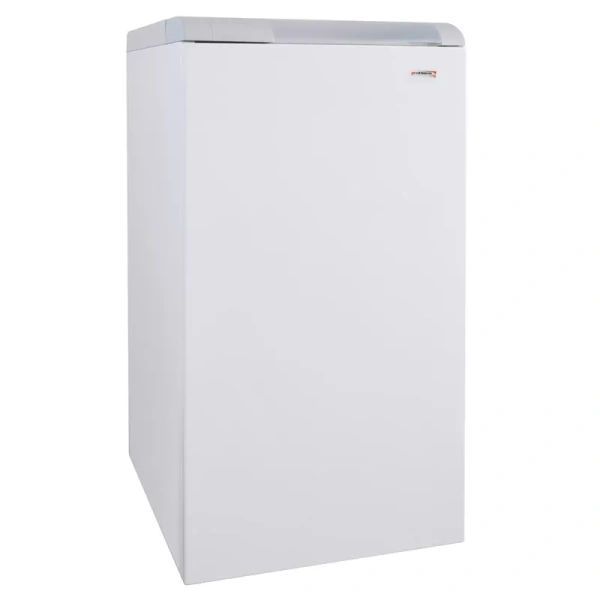Атмосферный газовый электронезависимый котел Protherm Медведь 40 TLO