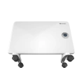 Электрический конвектор Thermex Frame 1000E