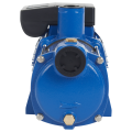 Поверхностный насос Aquario AMH-220-10P
