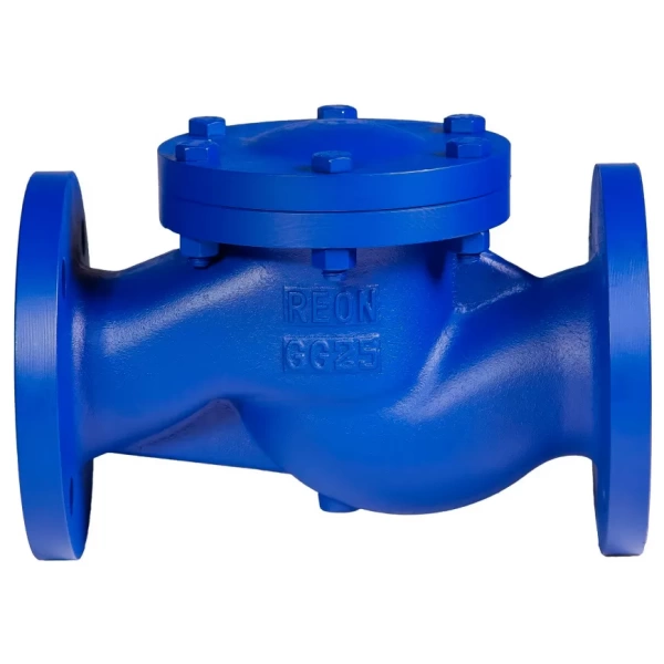 Обратный клапан Reon RSV33 DN65 фланцевый